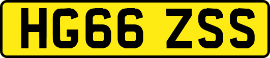 HG66ZSS