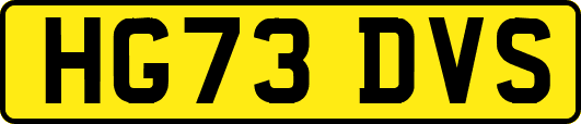 HG73DVS