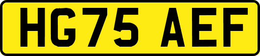HG75AEF