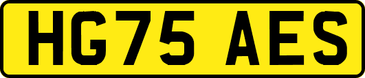 HG75AES