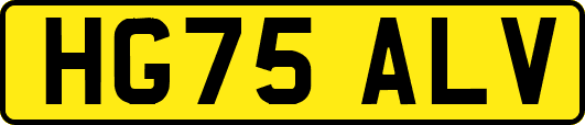HG75ALV