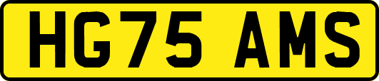 HG75AMS