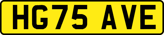 HG75AVE