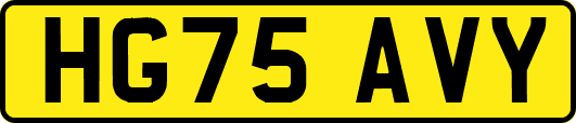 HG75AVY