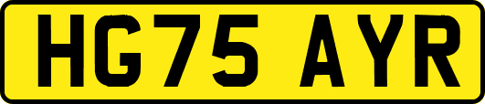 HG75AYR
