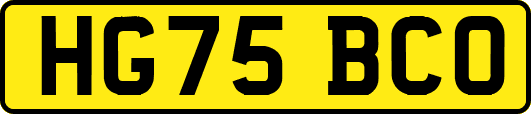 HG75BCO