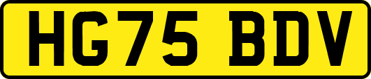 HG75BDV