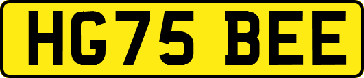 HG75BEE