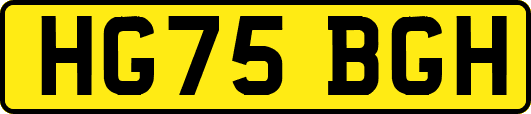 HG75BGH
