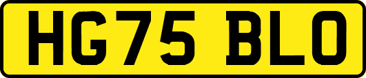 HG75BLO