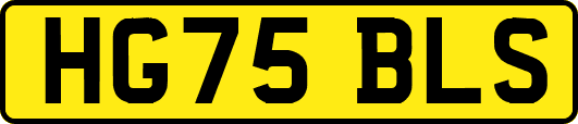HG75BLS