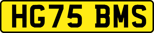 HG75BMS