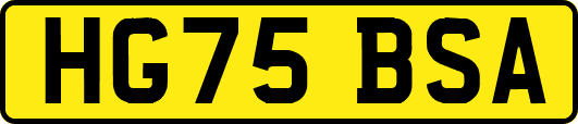 HG75BSA
