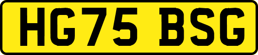 HG75BSG