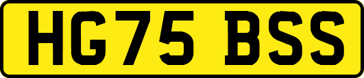 HG75BSS