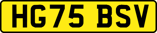 HG75BSV