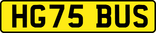 HG75BUS