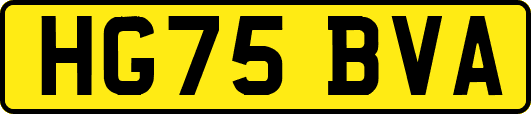 HG75BVA