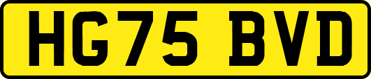 HG75BVD