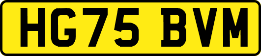 HG75BVM