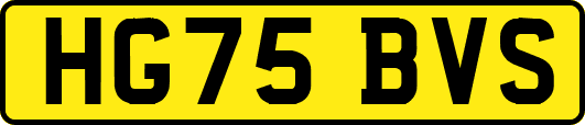 HG75BVS