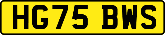 HG75BWS
