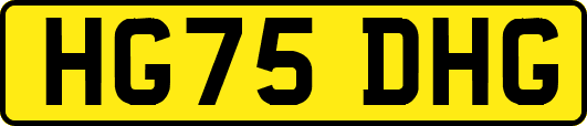 HG75DHG