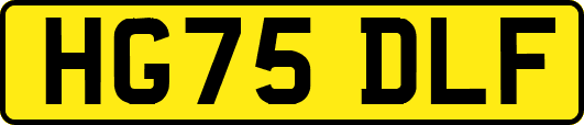 HG75DLF