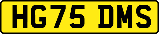 HG75DMS