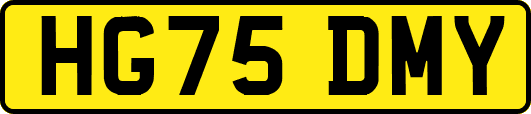 HG75DMY