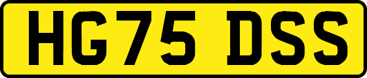 HG75DSS