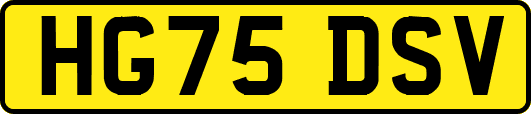 HG75DSV