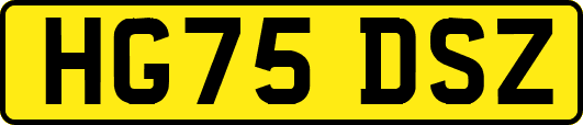 HG75DSZ