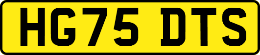 HG75DTS