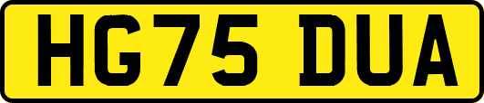 HG75DUA