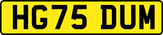 HG75DUM