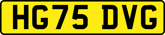 HG75DVG