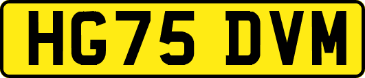 HG75DVM