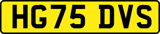 HG75DVS