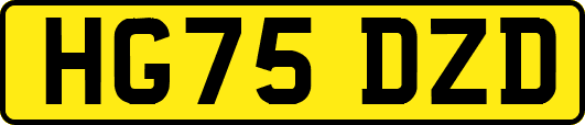 HG75DZD