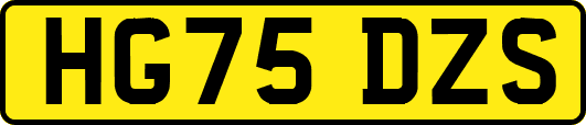 HG75DZS