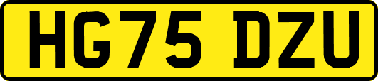 HG75DZU