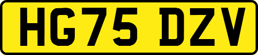 HG75DZV
