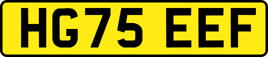 HG75EEF