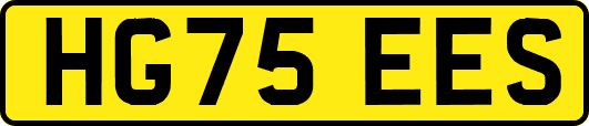 HG75EES