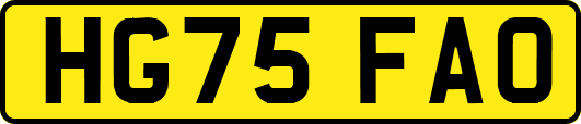 HG75FAO