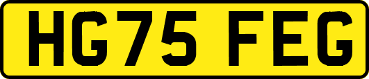 HG75FEG