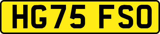 HG75FSO