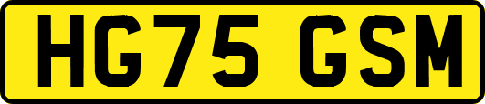 HG75GSM
