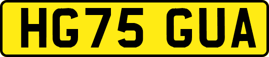 HG75GUA